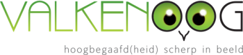 Valkenoog – hoogbegaafd(heid) scherp in beeld Logo
